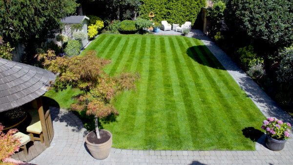 Striped Lawn in the sun