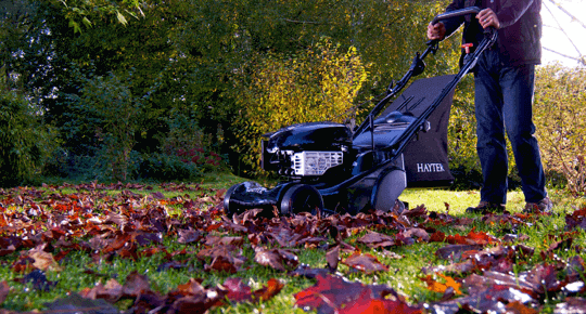 Person cutting grass in leaves