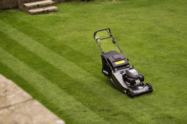 Lawnmower on grass