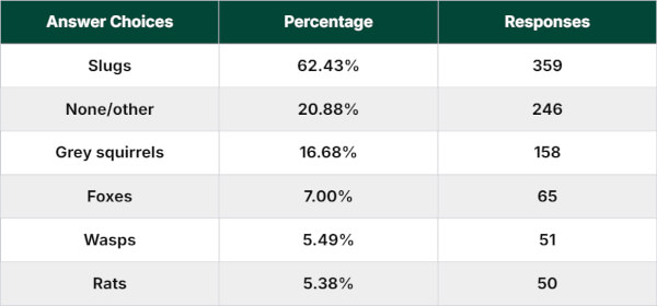 Which garden pests do you struggle with the most in your garden?