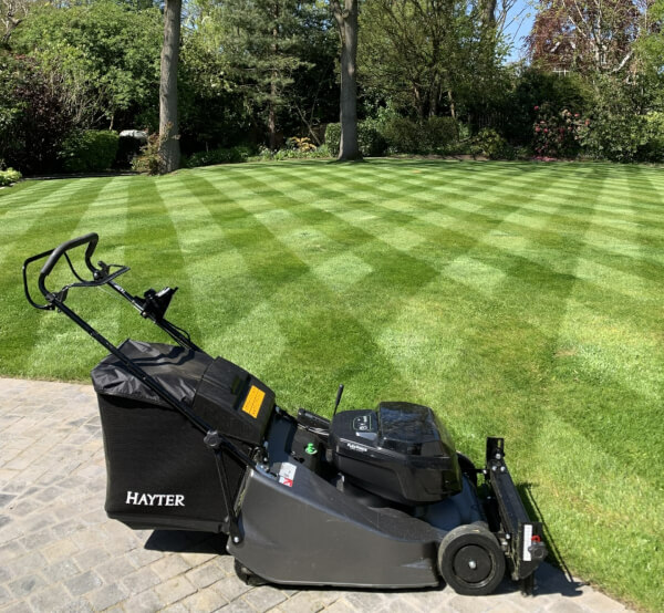 Professional gardener inserting a 60V lithium battery into the Hayter Harrier 56 Pro 60V mower in a garden setting.