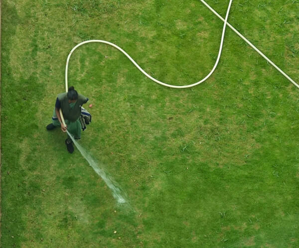 garden lawn