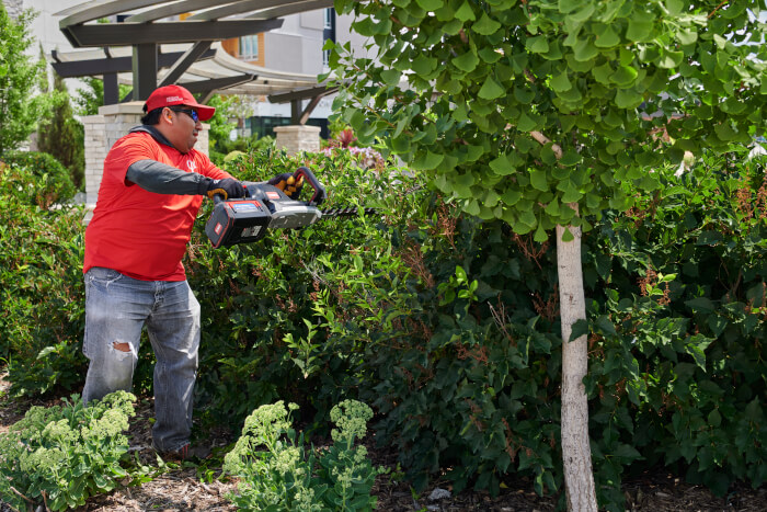 Professional user trimming a low tree canopy with the Toro Revolution Hedge Trimmer