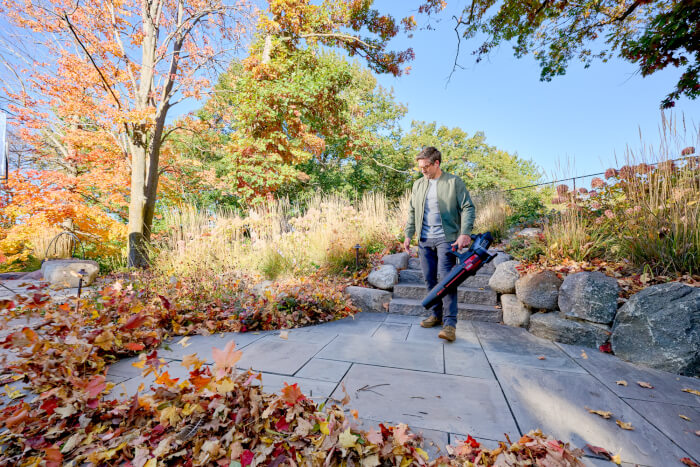 Homeowner using Toro 60V Leaf Blower Plus to move autumn leaves in a landscaped garden