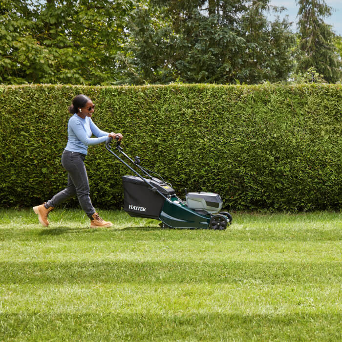 Harrier 41 mowing stripes in lawn